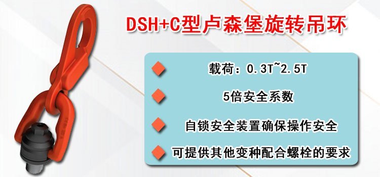 DSH+C型盧森堡旋轉吊環介紹