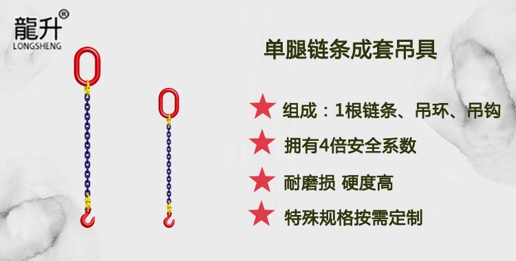 單腿鏈條成套吊具 單腿鏈條成套吊具